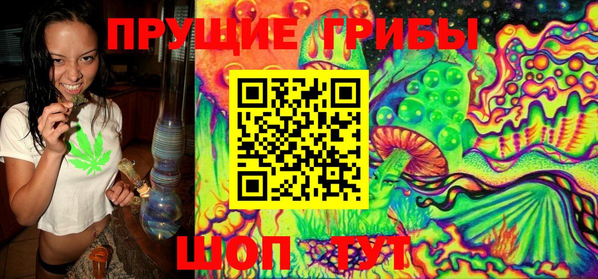 Галлюциногенные грибы Cubensis Тобольск