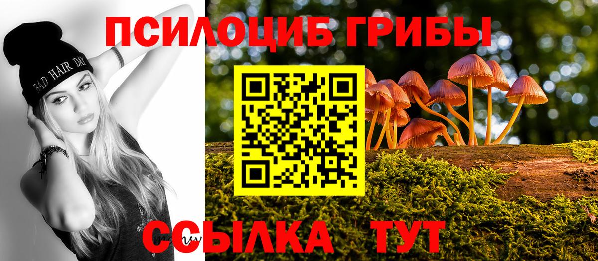 Тобольск  Псилоцибиновые грибы ЛСД  Псилоцибиновые грибы Psilocybe  Вход с VPN 